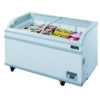 WD-700Y Commercial Chest Freezer in White
