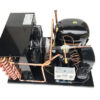 Indoor NT2168GKV1 Unit 3/4 HP Low Temp R404a, 115V
