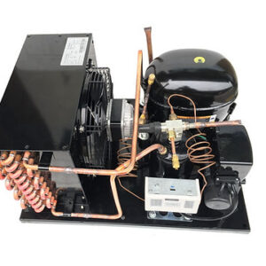 Indoor NT2168GKV1 Unit 3/4 HP Low Temp R404a, 115V