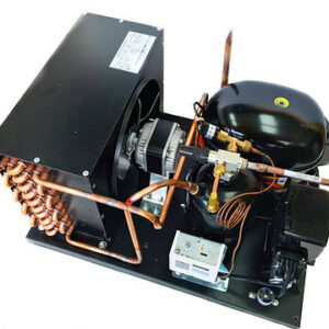 Outdoor NT2168GKV Low Temp 3/4HP, R404a, 115V