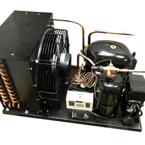 Outdoor NT2180GKV2 Low Temp 1HP, R404a, 220V