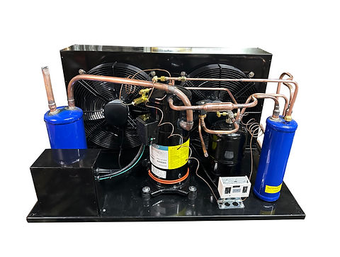 Outdoor QTYF20E3G-Q100 Scroll Low Temp Condensing Unit 3HP, R404a 220V/1PH
